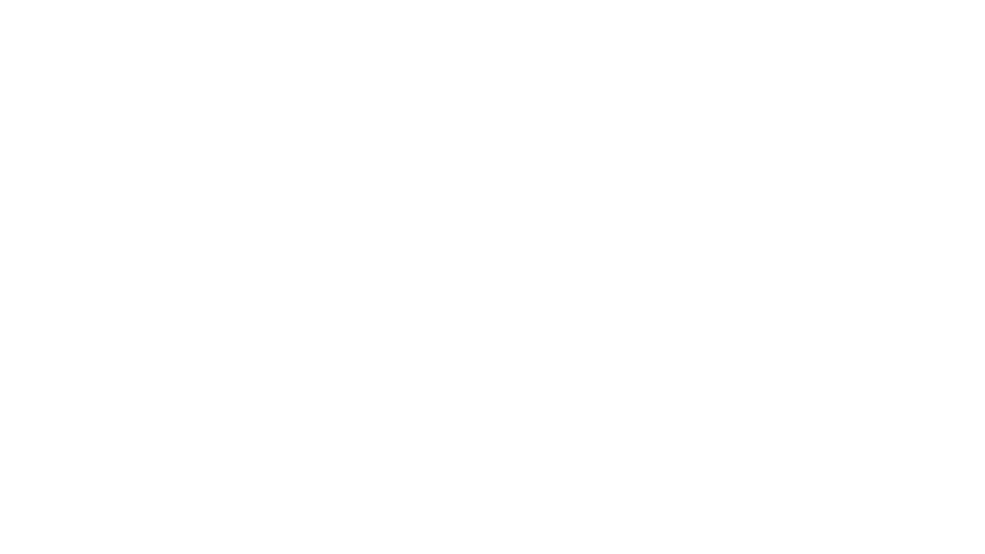 Festival de Magie
