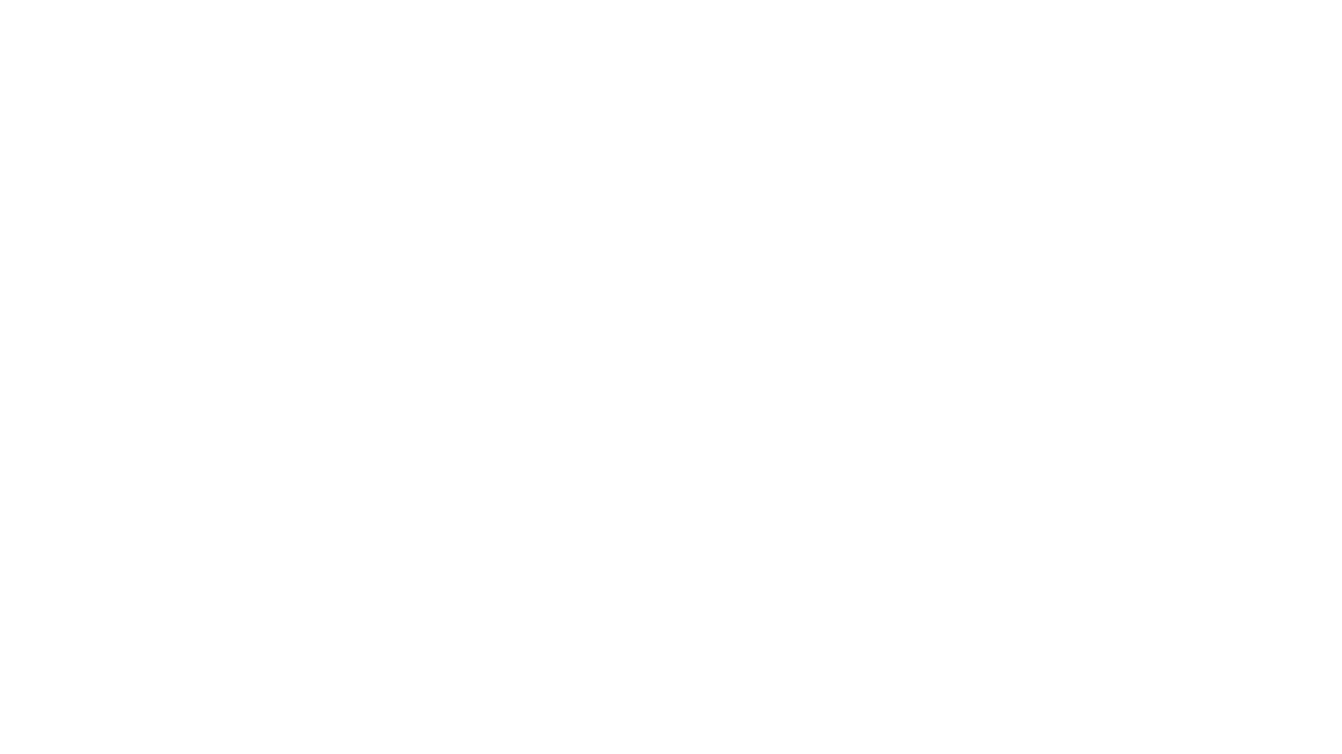 Faux Magiciens