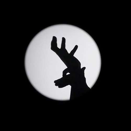 Shadowgraphy