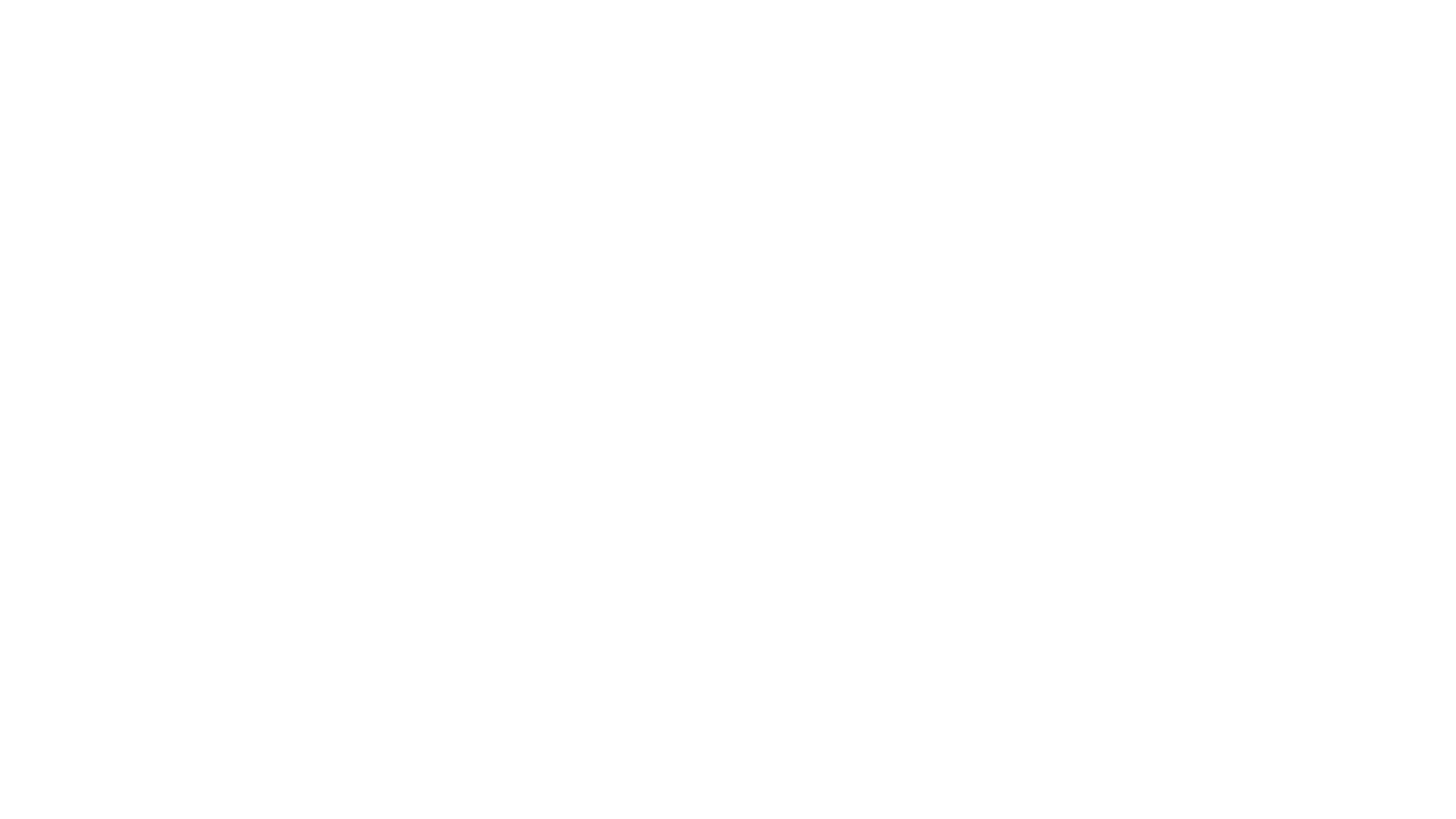 Balloon Twisting